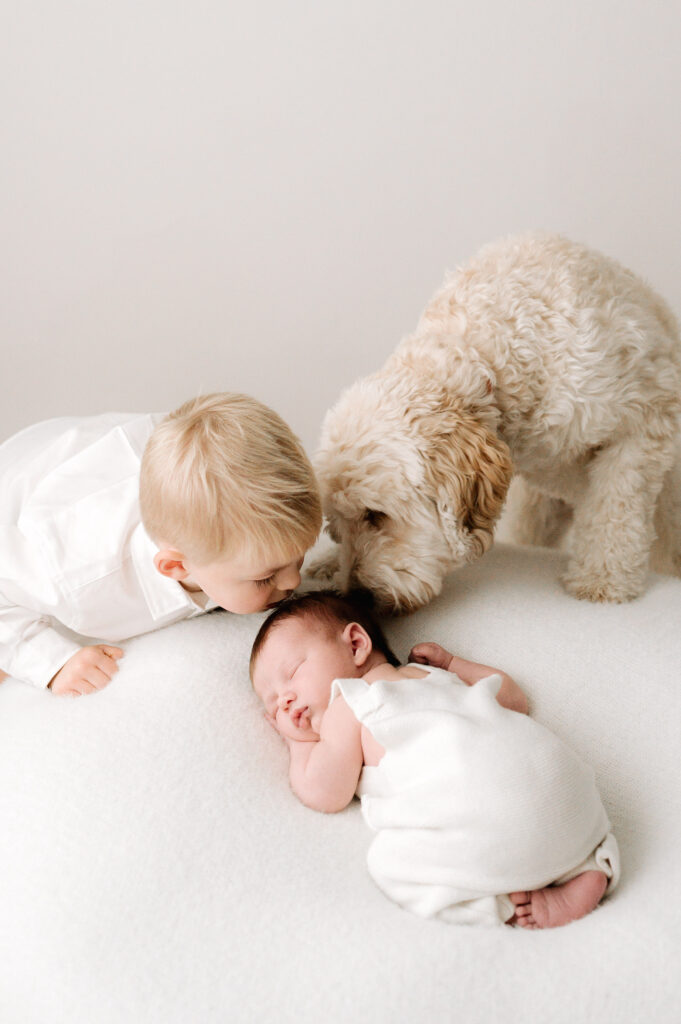 A newborn baby boy sleeping on his tummy and his big brother and dog are kissing his head at a newborn photoshoot in Billingshurst
